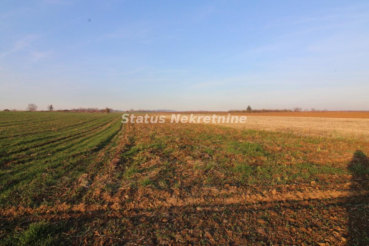 Plac Prodaja Irig Plac Prodaja Irig 0 m2