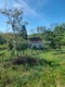 Kuća Prodaja Sremski Karlovci  57 m2