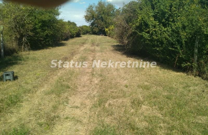 Plac Prodaja Novi Sad  0 m2