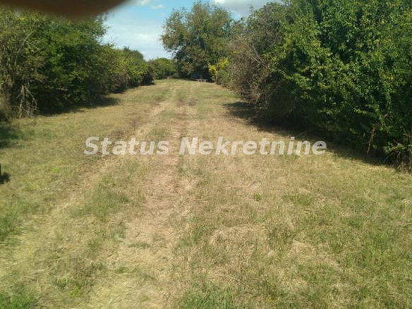Plac Prodaja Novi Sad  0 m2