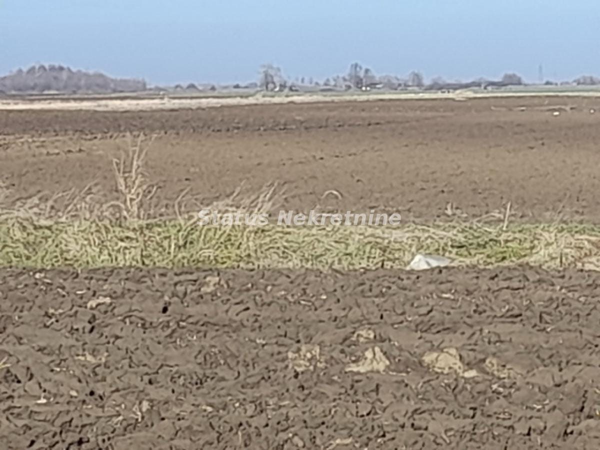 Plac Prodaja Novi Sad  0 m2
