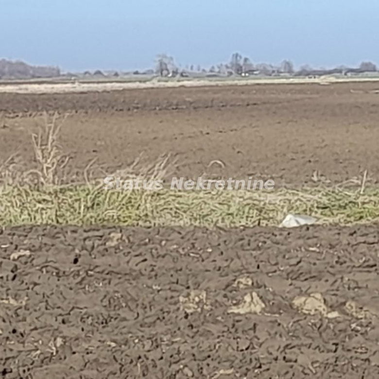 Plac Prodaja Novi Sad  0 m2