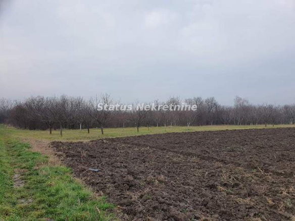 Plac Prodaja Inđija  0 m2
