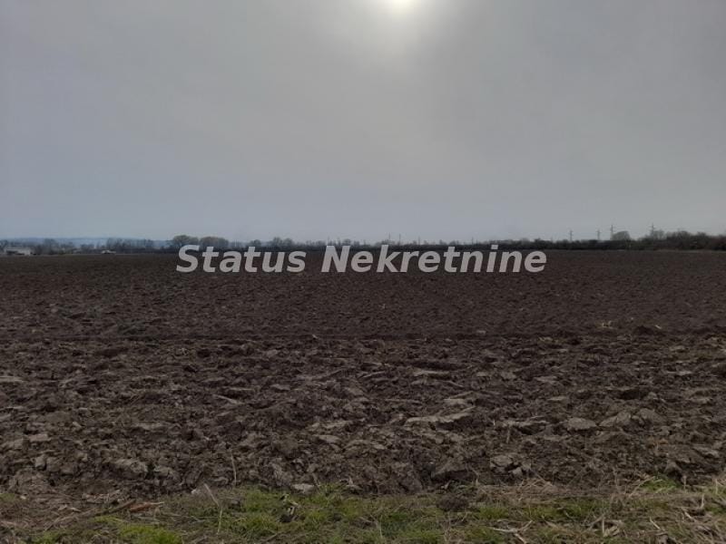 Plac Prodaja Novi Sad  0 m2