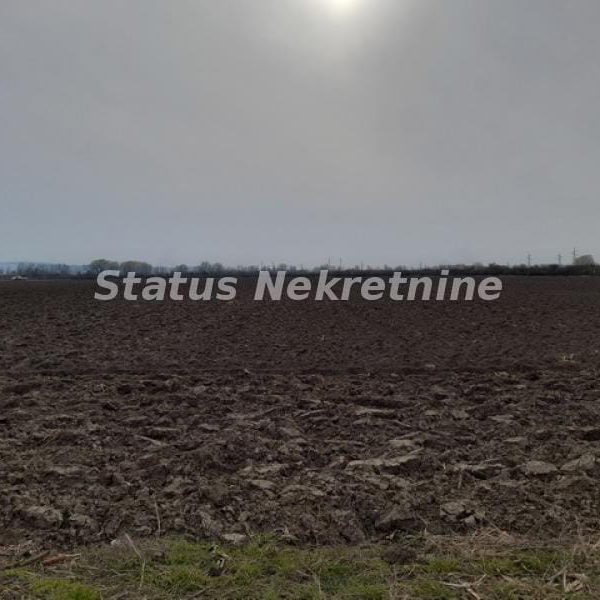 Plac Prodaja Novi Sad  0 m2