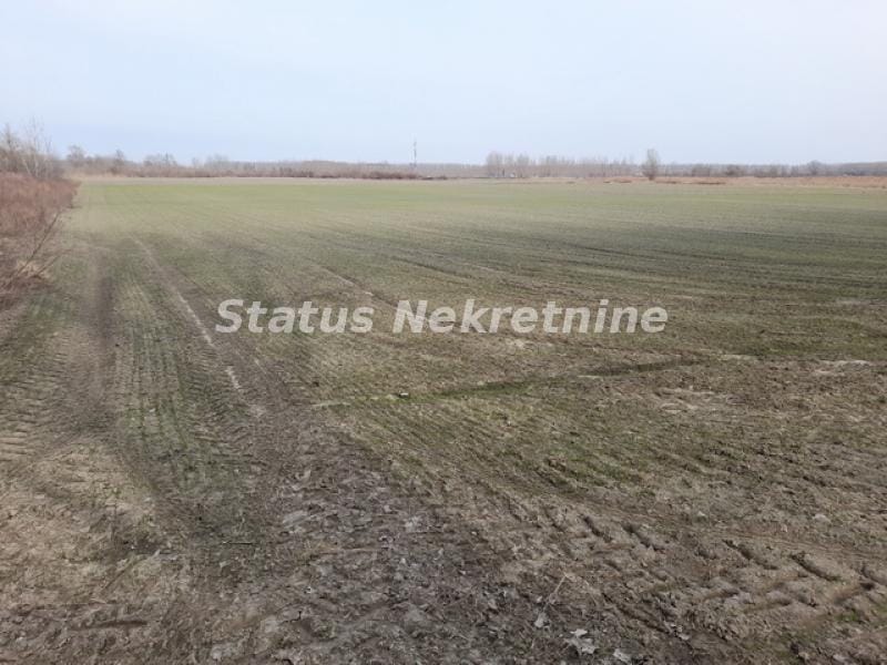 Plac Prodaja Novi Sad Plac Prodaja Novi Sad 0 m2