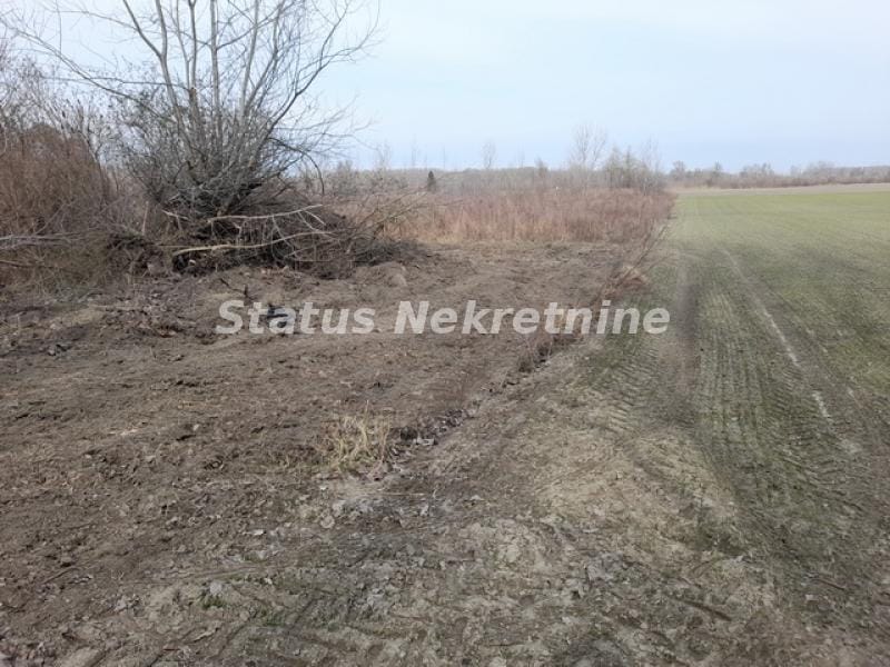 Plac Prodaja Novi Sad Plac Prodaja Novi Sad 0 m2