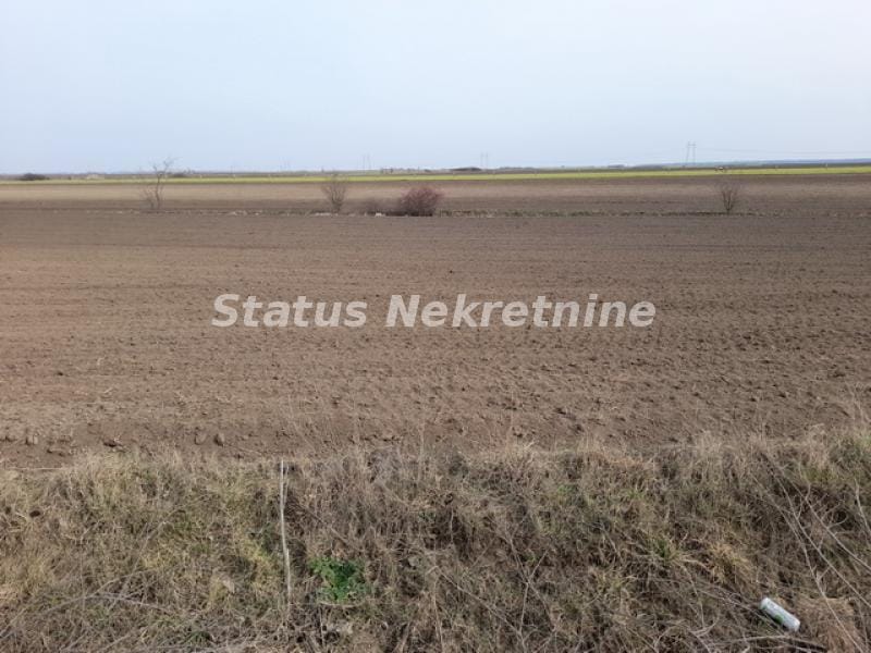 Plac Prodaja Žabalj Plac Prodaja Žabalj 0 m2