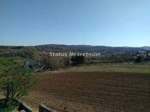 Plac Prodaja Novi Sad  0 m2