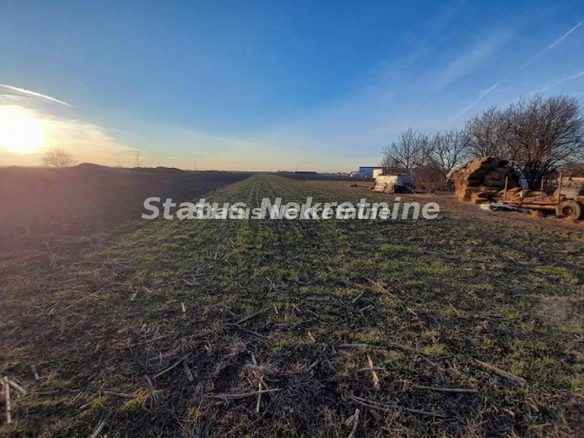 Plac Prodaja Novi Sad  5640 m2