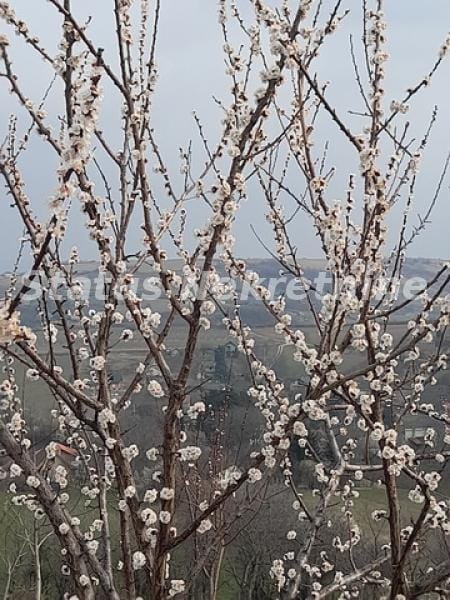 Plac Prodaja Novi Sad Plac Prodaja Novi Sad 0 m2