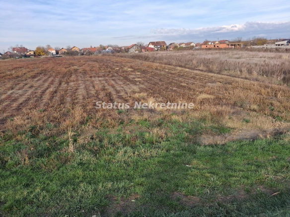 Plac Prodaja Novi Sad  0 m2