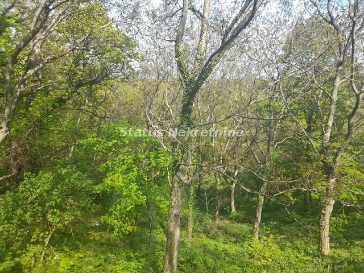 Plac Prodaja Irig Plac Prodaja Irig 0 m2