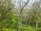Plac Prodaja Irig  0 m2