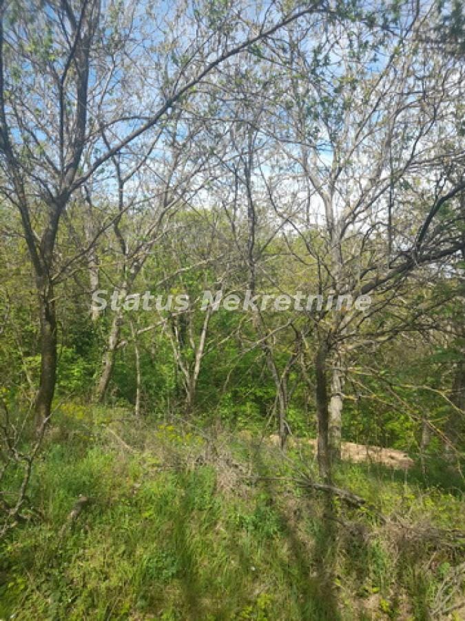 Plac Prodaja Irig Plac Prodaja Irig 0 m2