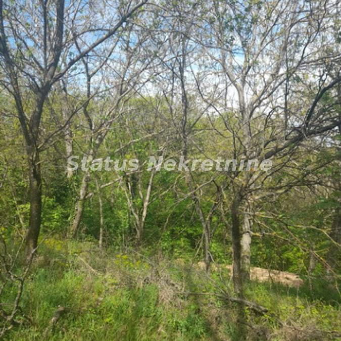 Plac Prodaja Irig  0 m2