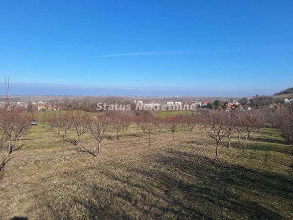 Plac Prodaja Beočin  0 m2