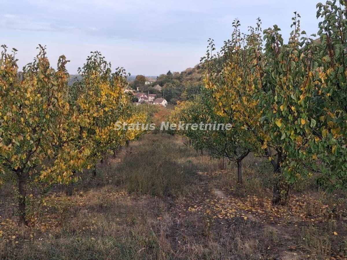 Plac Prodaja Beočin  0 m2