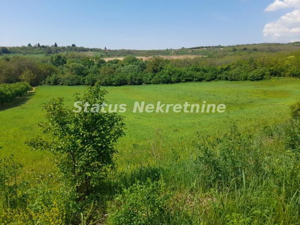 Plac Prodaja Irig  0 m2