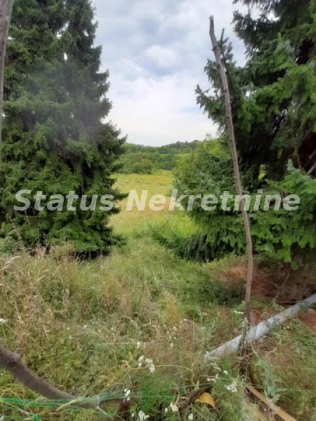 Plac Prodaja Inđija Plac Prodaja Inđija 0 m2