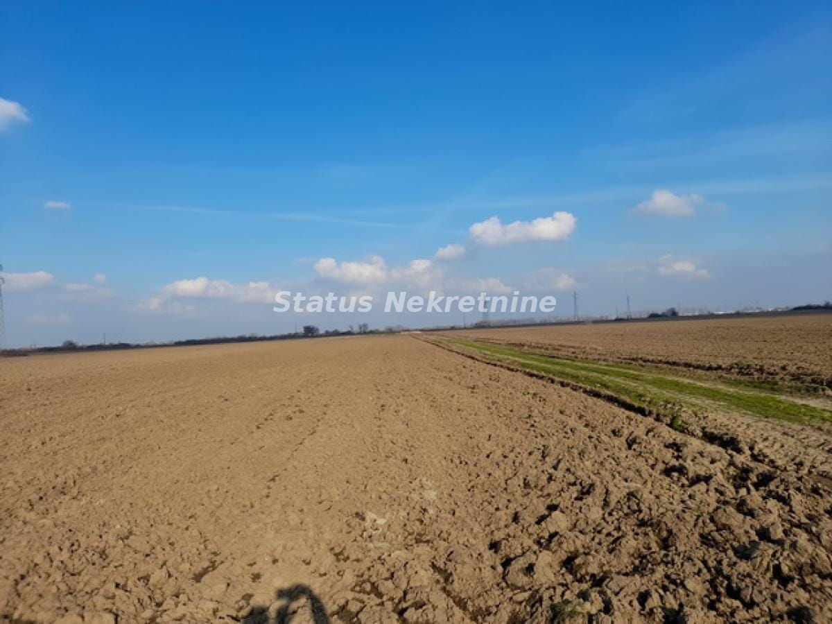 Plac Prodaja Novi Sad  0 m2