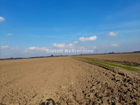 Plac Prodaja Novi Sad  0 m2