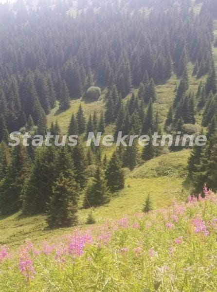 Plac Prodaja Kopaonik  0 m2