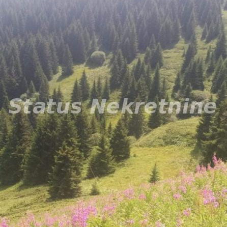 Plac Prodaja Kopaonik  0 m2