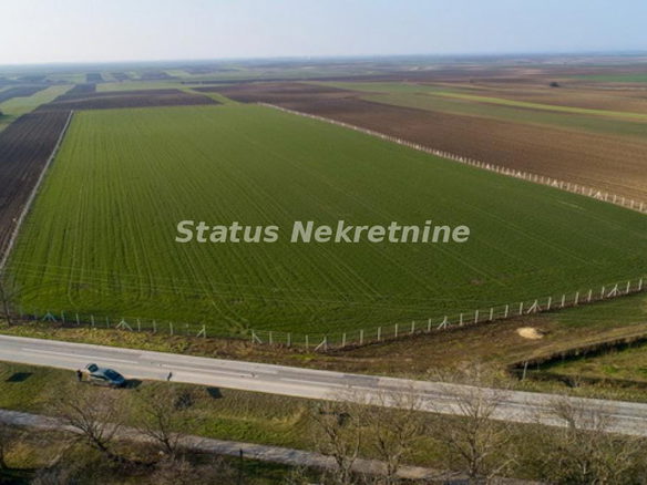Plac Prodaja Stara Pazova  0 m2