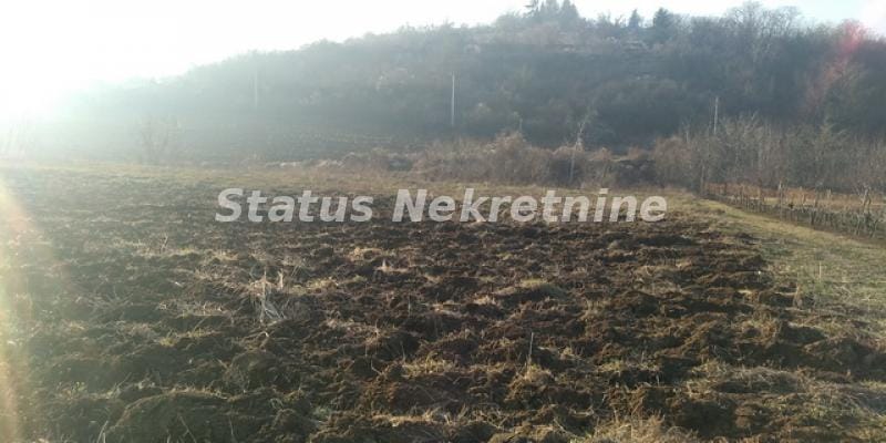 Plac Prodaja Sremski Karlovci Plac Prodaja Sremski Karlovci 0 m2