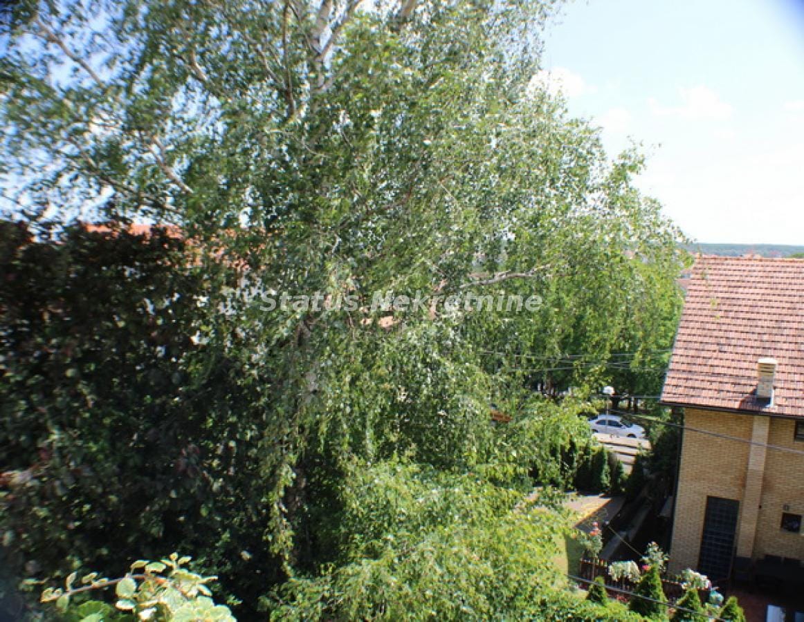 Kuća Prodaja Novi Sad  264 m2