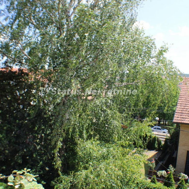 Kuća Prodaja Novi Sad  264 m2