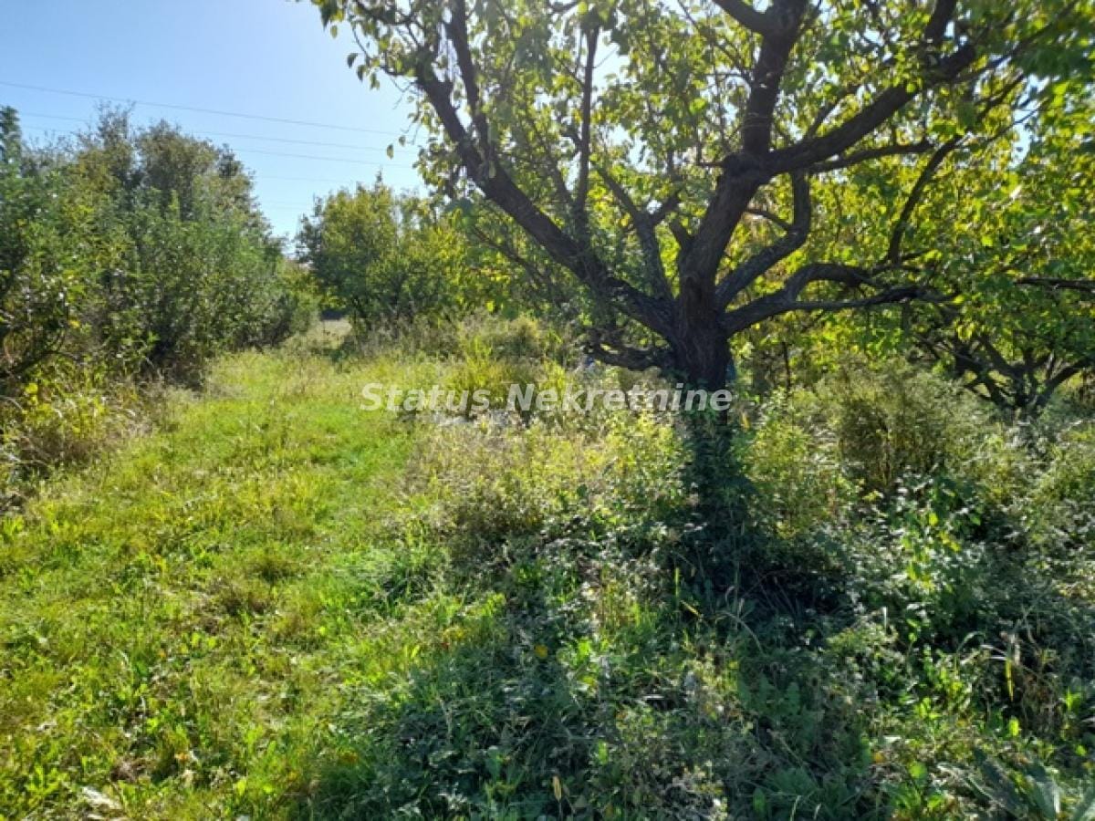 Plac Prodaja Novi Sad Plac Prodaja Novi Sad 0 m2