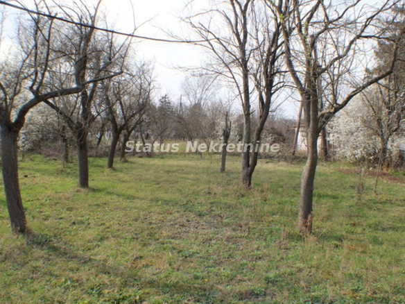 Plac Prodaja Zrenjanin  0 m2
