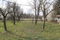 Plac Prodaja Zrenjanin  0 m2