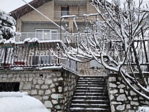 Kuća Prodaja Beočin Rakovac 210 m2