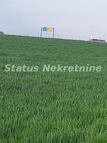 Plac Prodaja Novi Sad Plac Prodaja Novi Sad 0 m2