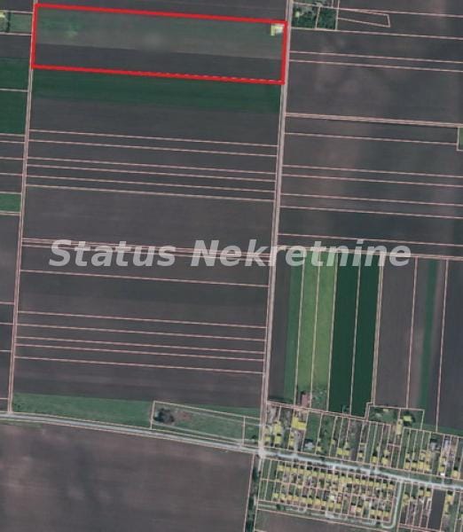 Kuća Prodaja Novi Sad  295 m2