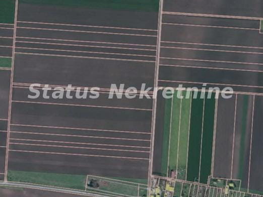 Kuća Prodaja Novi Sad  295 m2
