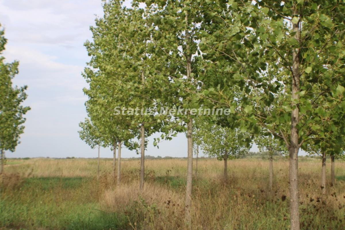 Plac Prodaja Zrenjanin  0 m2