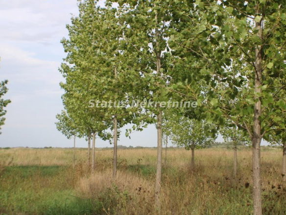 Plac Prodaja Zrenjanin  0 m2