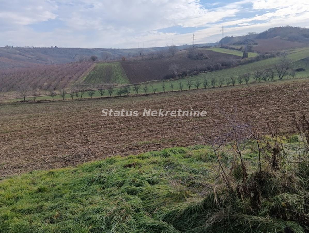 Plac Prodaja Sremski Karlovci  0 m2