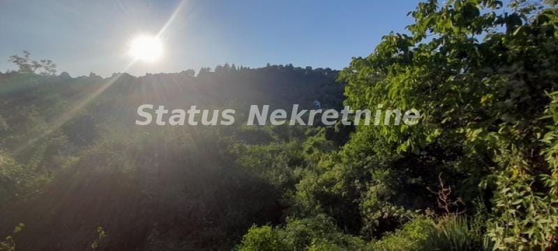 Plac Prodaja Inđija Plac Prodaja Inđija 0 m2