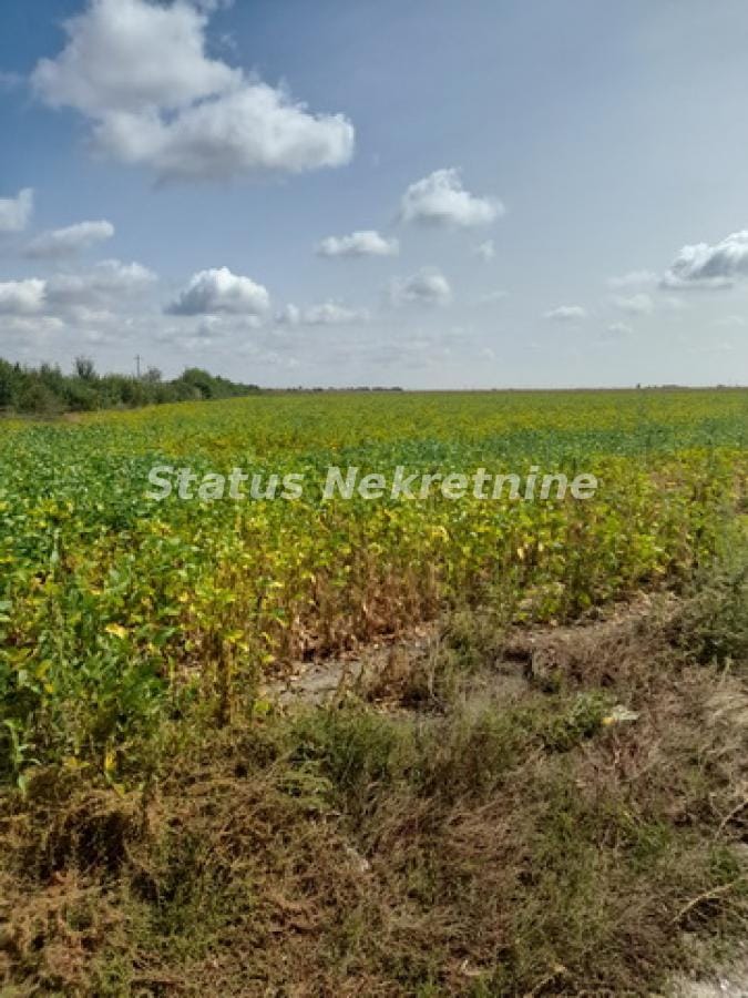 Plac Prodaja Sremska Mitrovica Plac Prodaja Sremska Mitrovica 0 m2
