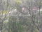 Plac Prodaja Novi Sad  0 m2