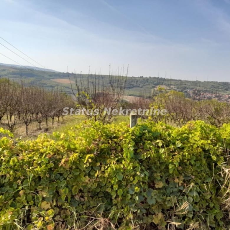 Plac na prodaju, Sremski Karlovci, 80,31 ari, 330.880 €