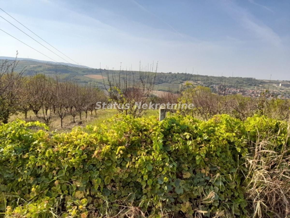 Plac Prodaja Sremski Karlovci Plac Prodaja Sremski Karlovci 0 m2