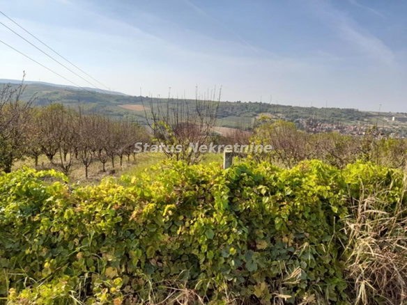Plac Prodaja Sremski Karlovci  0 m2