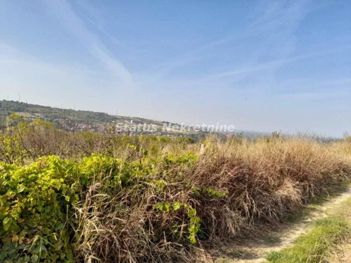 Plac Prodaja Sremski Karlovci Plac Prodaja Sremski Karlovci 0 m2