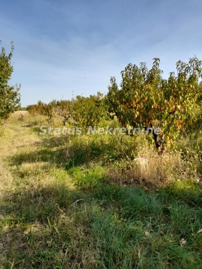Plac Prodaja Sremski Karlovci Plac Prodaja Sremski Karlovci 0 m2
